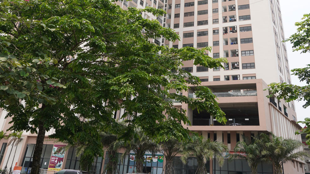 Bac Giang builds social house for 12,000 workers