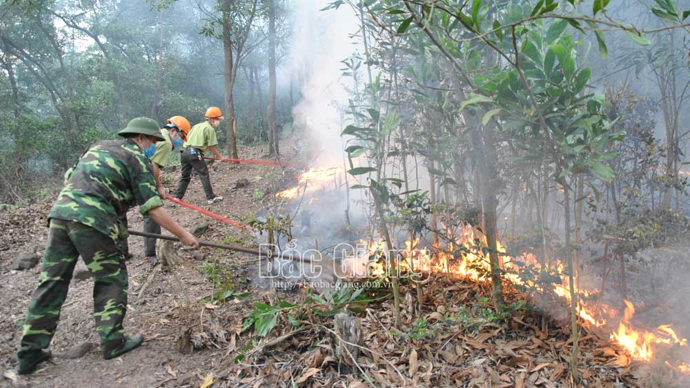 {keywords} {keywords}