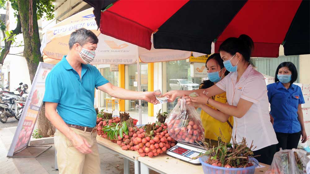 Tuổi trẻ Sơn La chung tay góp sức tiêu thụ vải thiều Bắc Giang