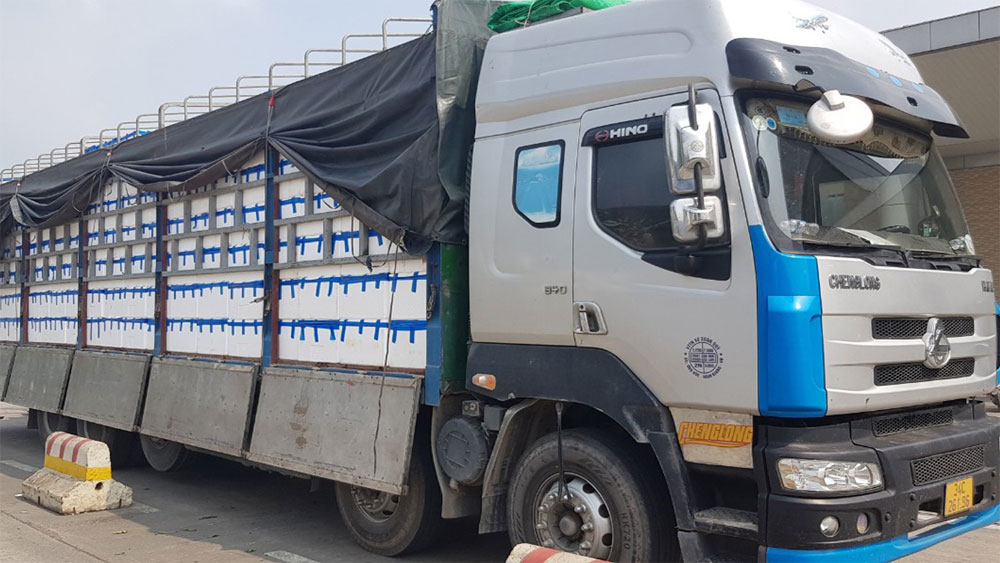 Gần 40.000 tấn vải tươi xuất khẩu qua Cửa khẩu Kim Thành (Lào Cai)