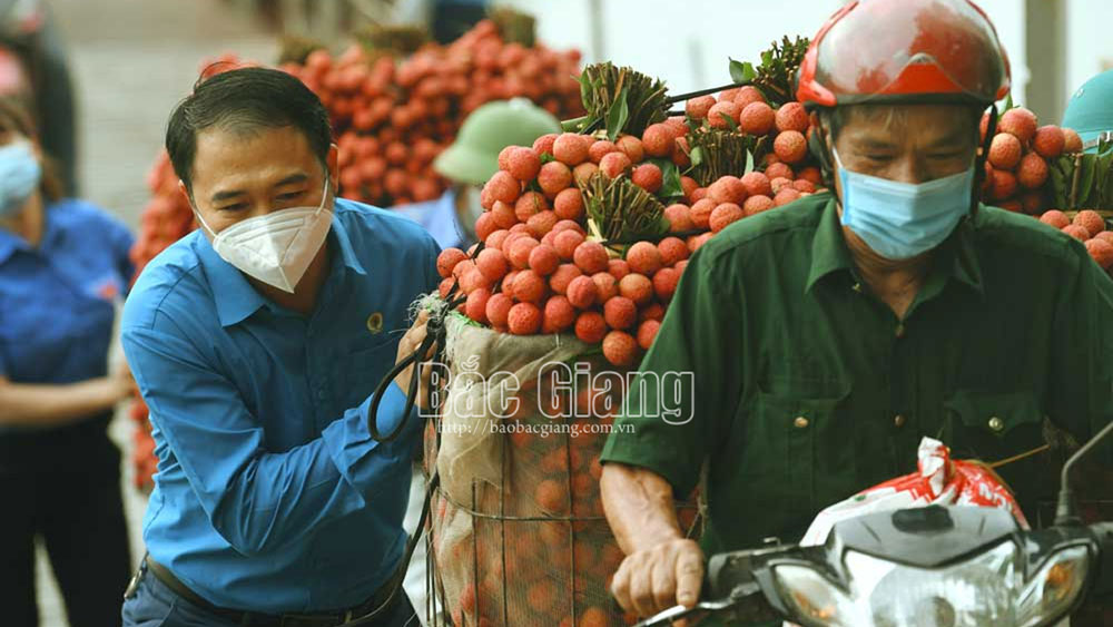 Mô hình kết nối tiêu thụ nông sản: Hình thành một nền nông nghiệp minh bạch
