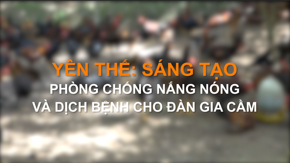 Yên Thế: Sáng tạo phòng, chống nắng nóng và dịch bệnh cho đàn gia cầm