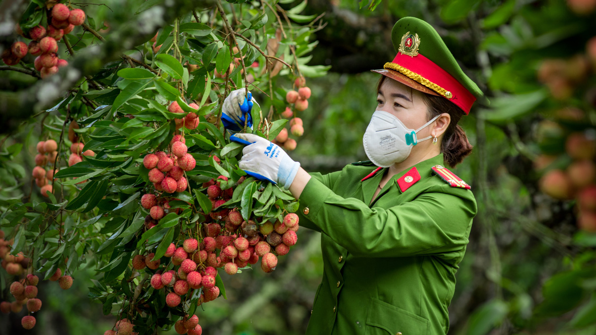 Nhóm ảnh dự thi: Chiến sĩ công an giúp dân trong mùa dịch