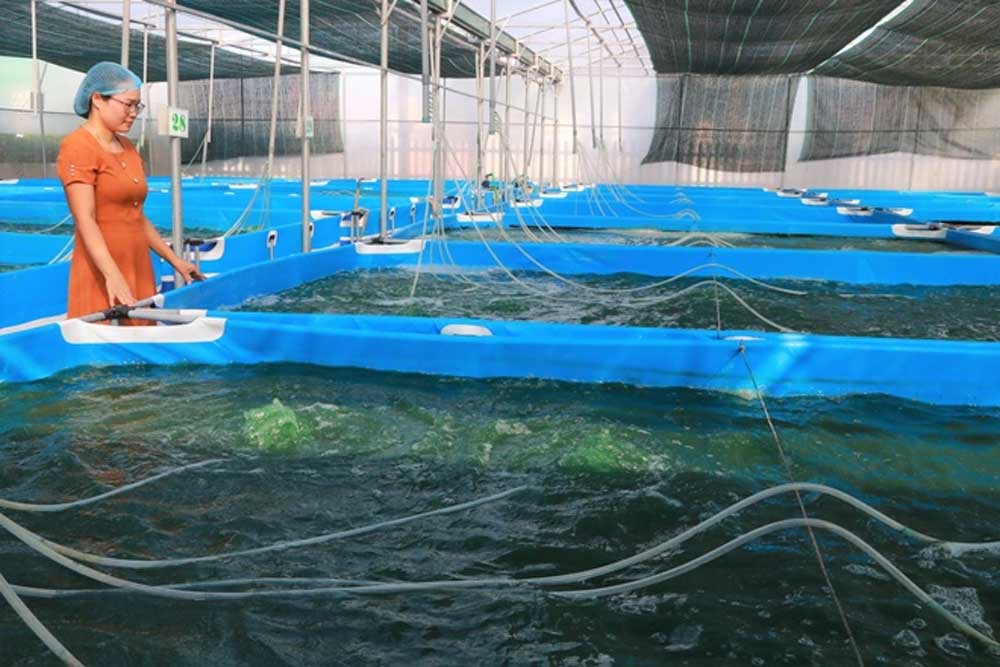 {keywords} {keywords}