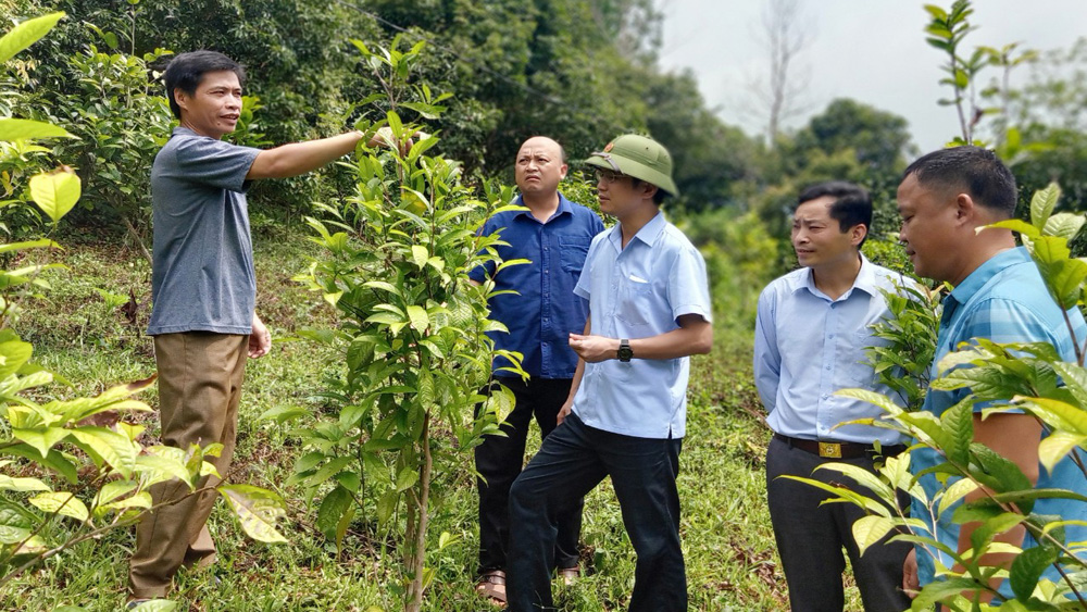 Đưa “lộc rừng” về nhà