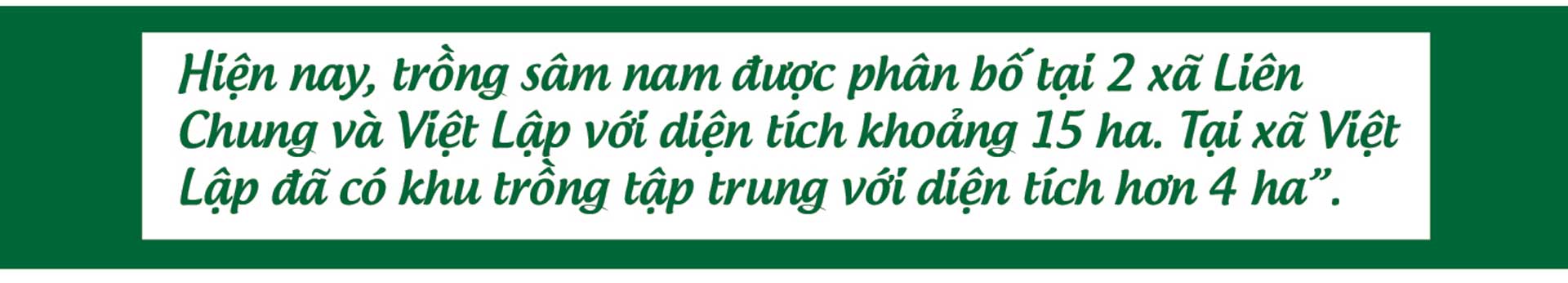 sâm nam núi dành, báu vật núi dành, sâm nam núi dành chỉ dẫn địa lý, bảo hộ sâm nam núi dành, sâm tân yên sâm nam núi dành, báu vật núi dành, sâm nam núi dành chỉ dẫn địa lý, bảo hộ sâm nam núi dành, sâm tân yên