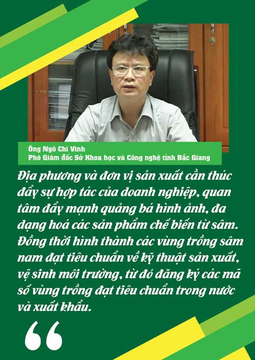 sâm nam núi dành, báu vật núi dành, sâm nam núi dành chỉ dẫn địa lý, bảo hộ sâm nam núi dành, sâm tân yên sâm nam núi dành, báu vật núi dành, sâm nam núi dành chỉ dẫn địa lý, bảo hộ sâm nam núi dành, sâm tân yên