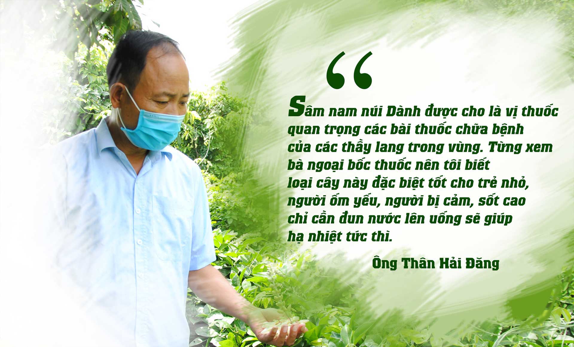sâm nam núi dành, báu vật núi dành, sâm nam núi dành chỉ dẫn địa lý, bảo hộ sâm nam núi dành, sâm tân yên sâm nam núi dành, báu vật núi dành, sâm nam núi dành chỉ dẫn địa lý, bảo hộ sâm nam núi dành, sâm tân yên