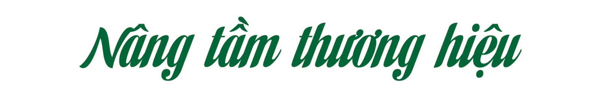 sâm nam núi dành, báu vật núi dành, sâm nam núi dành chỉ dẫn địa lý, bảo hộ sâm nam núi dành, sâm tân yên sâm nam núi dành, báu vật núi dành, sâm nam núi dành chỉ dẫn địa lý, bảo hộ sâm nam núi dành, sâm tân yên