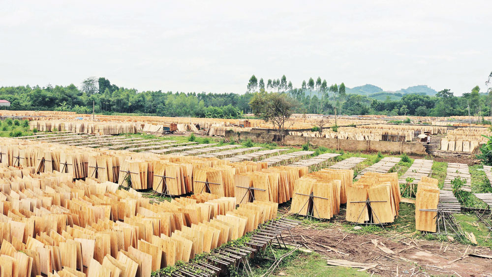 {keywords} {keywords}