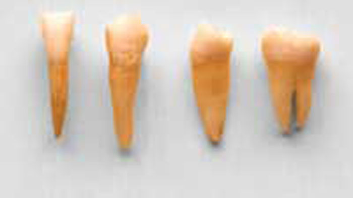 {keywords} {keywords}