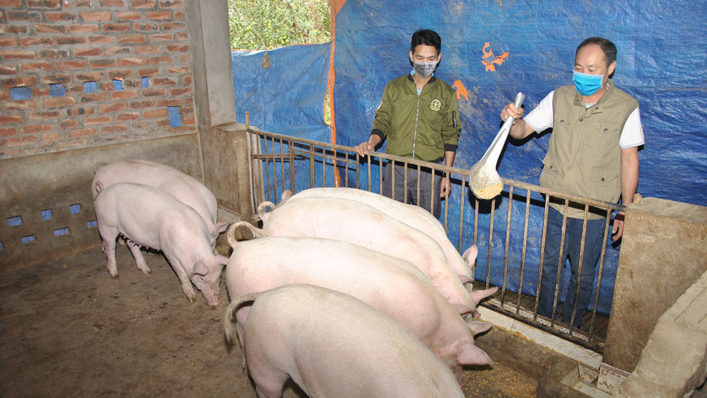 {keywords} {keywords}