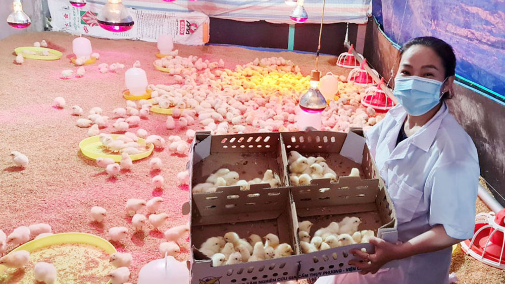 {keywords} {keywords}