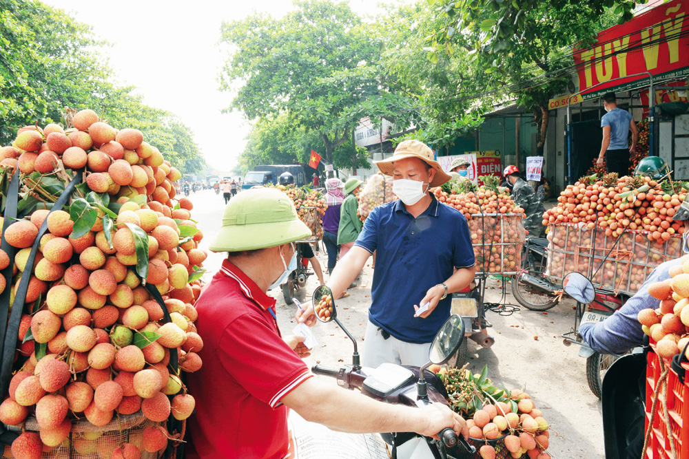 {keywords} {keywords}