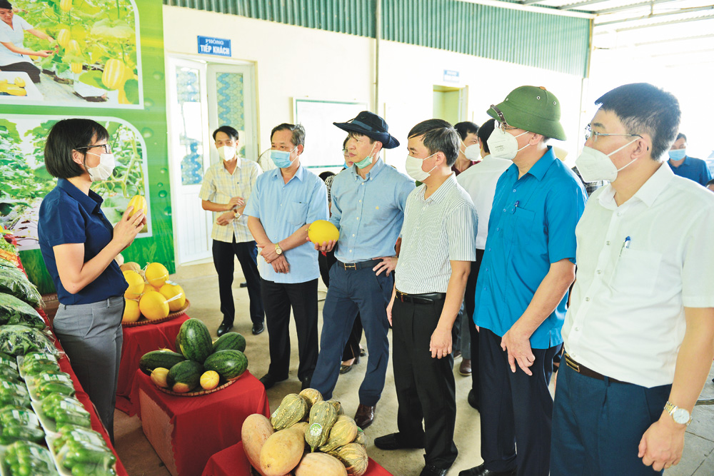 {keywords} {keywords}