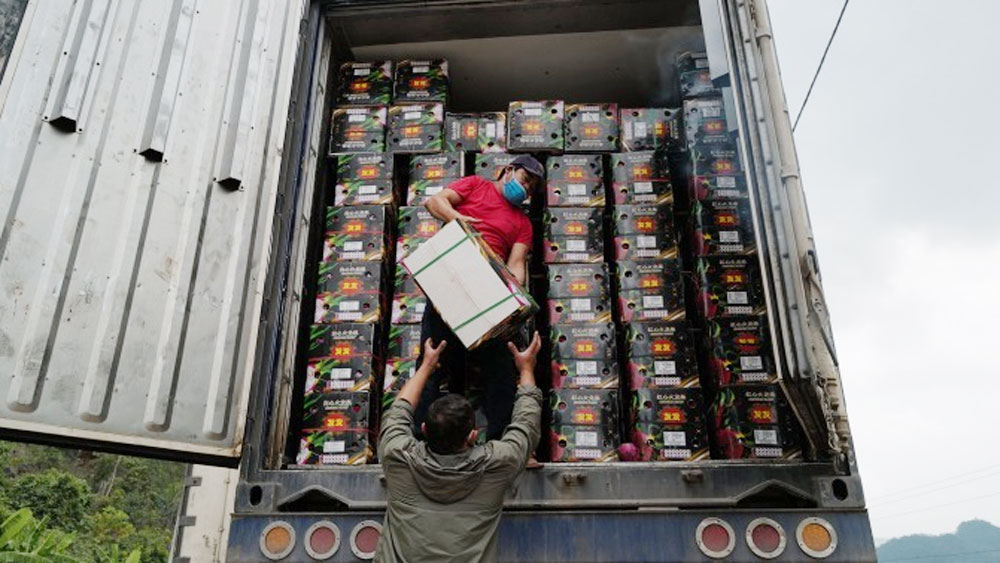 {keywords} {keywords}