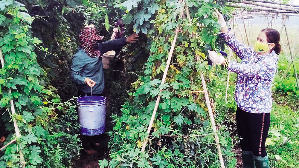 {keywords} {keywords}