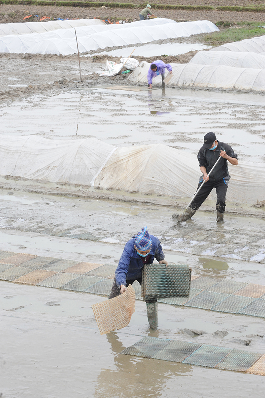 {keywords} {keywords}