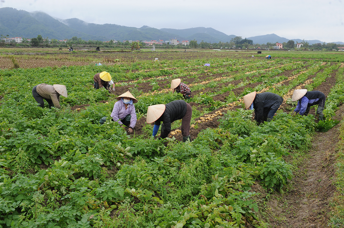 {keywords} {keywords}