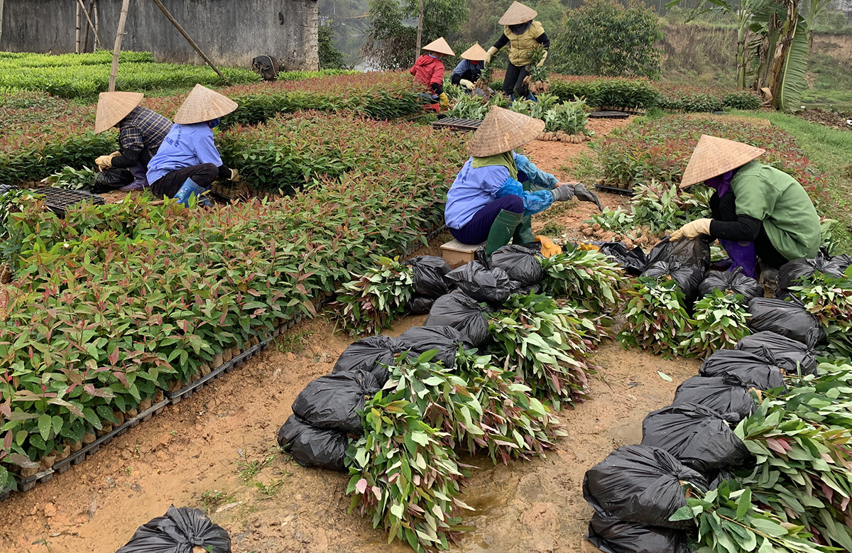 {keywords} {keywords}