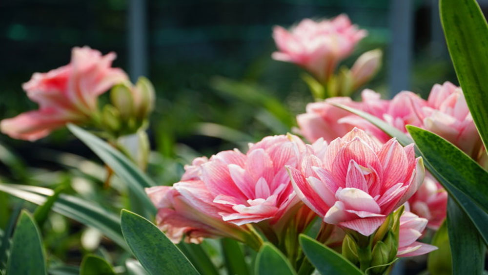 {keywords} {keywords}