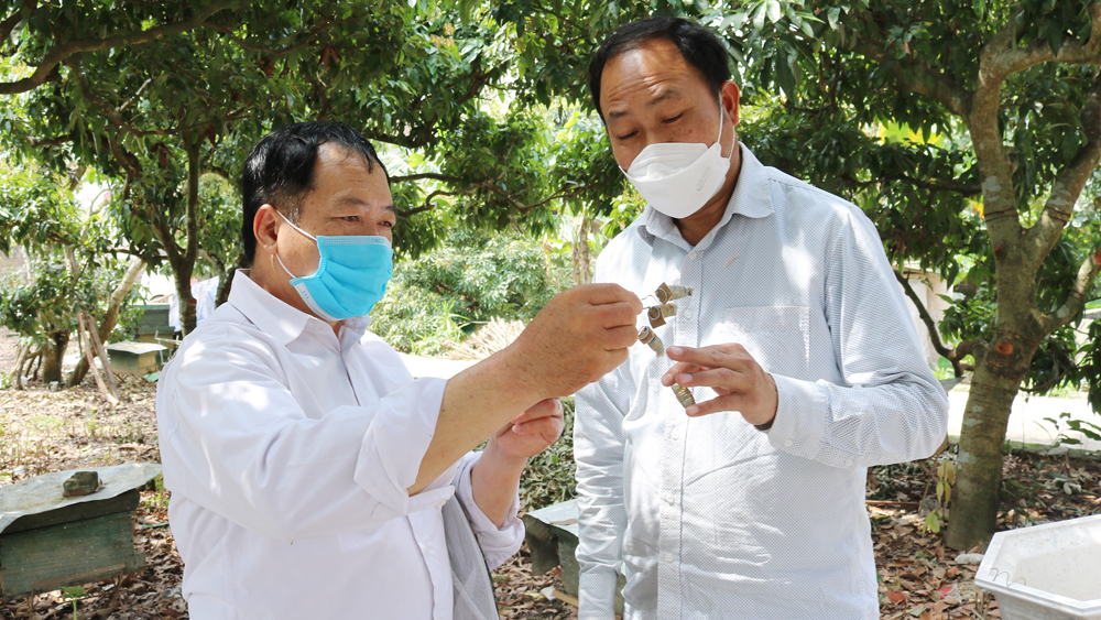 {keywords} {keywords}