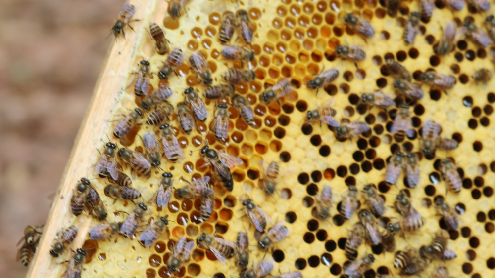 {keywords} {keywords}