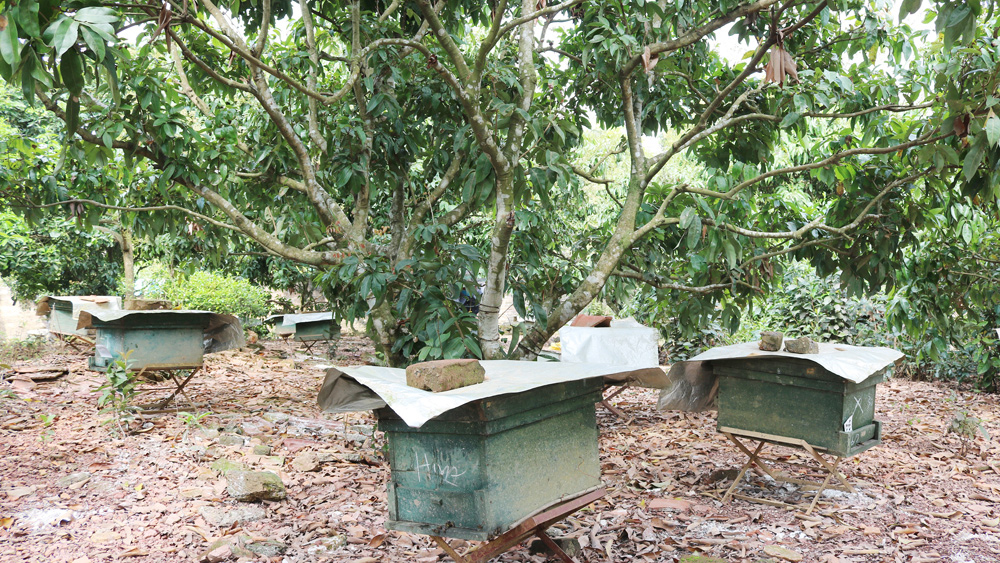 {keywords} {keywords}