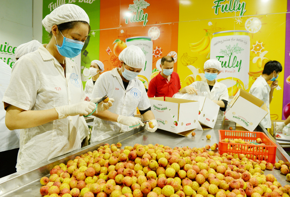 {keywords} {keywords}