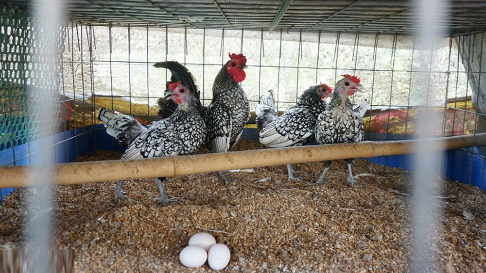 {keywords} {keywords}