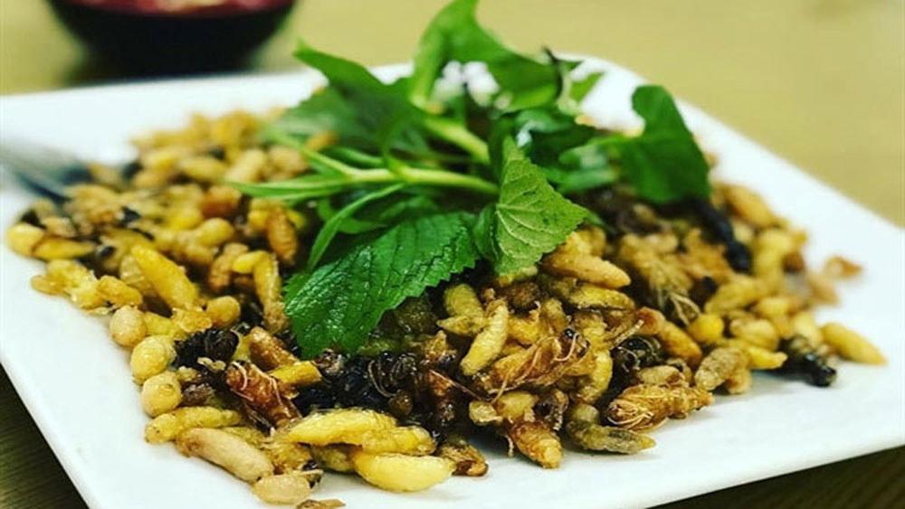 Roasted bee pupae: A starter to get the taste buds buzzing