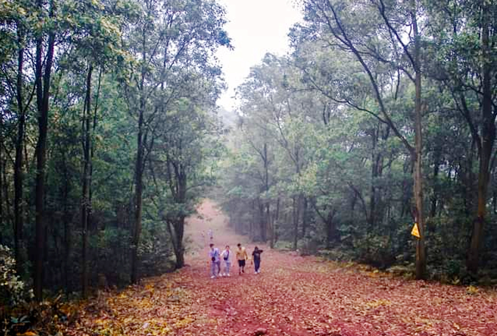 {keywords} {keywords}