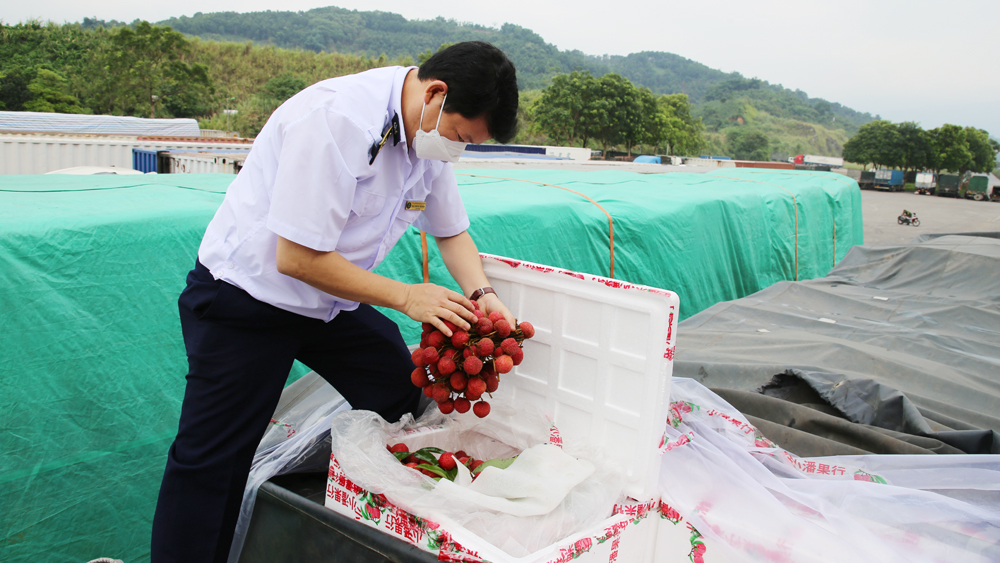 Trung Quốc thí điểm nhập khẩu nông sản qua Cửa khẩu Quốc tế đường bộ số II Kim Thành (Lào Cai)