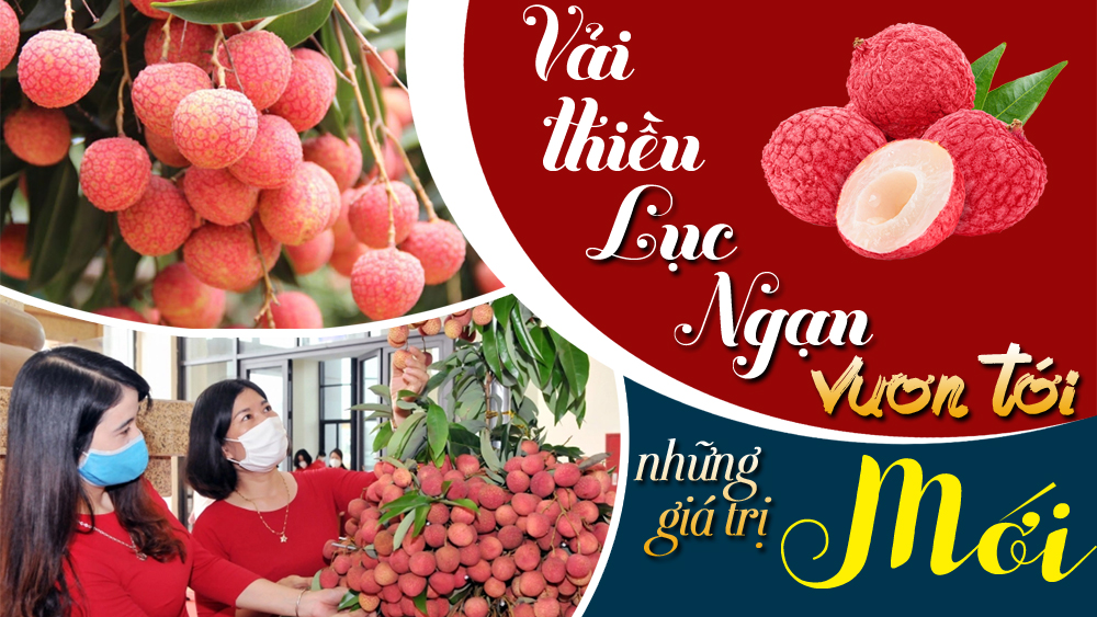Vải thiều Lục Ngạn vươn tới những giá trị mới