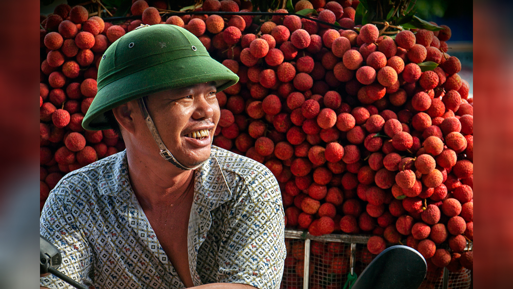Được mùa
