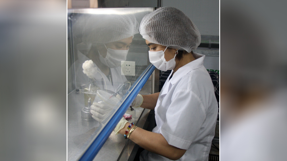 Nuôi cấy đông trùng hạ thảo
