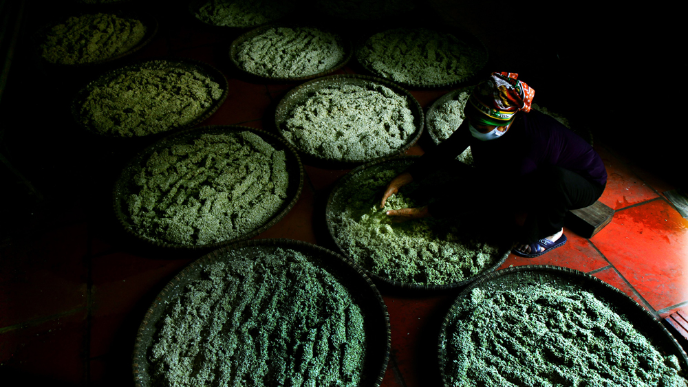 Nghề làm tương