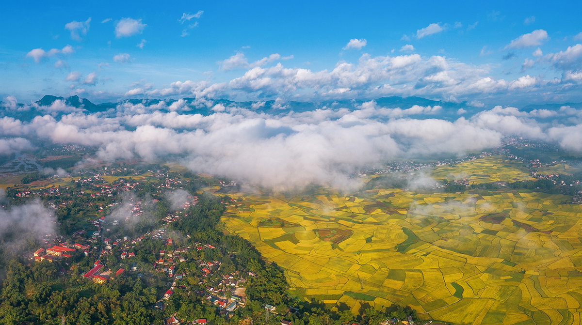 {keywords} {keywords}