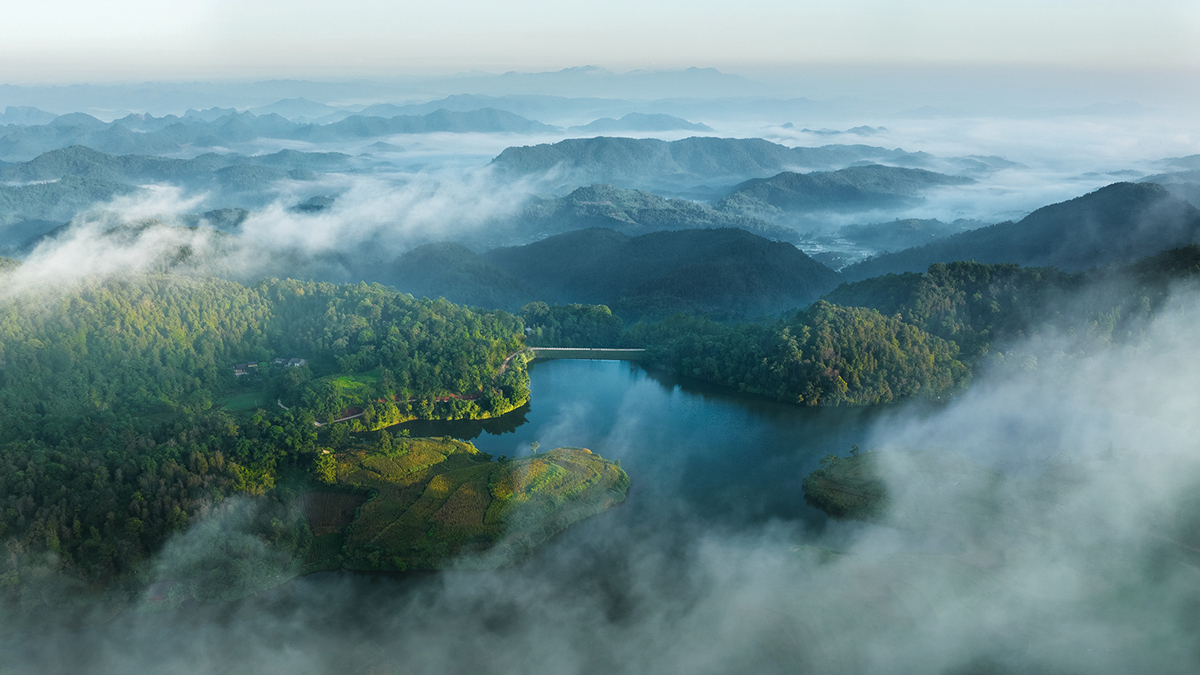 {keywords} {keywords}