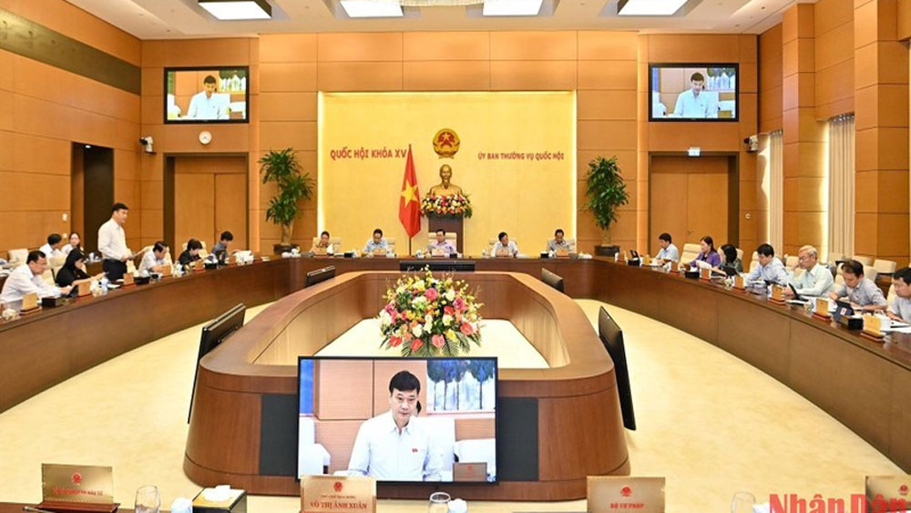 Thúc đẩy kinh tế tập thể phát triển năng động, hiệu quả, bền vững