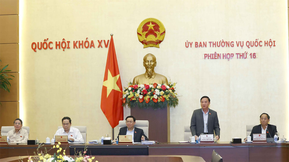 Đề xuất thí điểm đấu giá biển số ô tô trong 3 năm