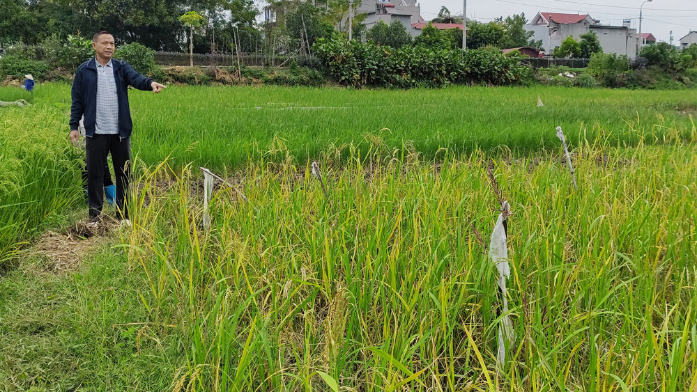 {keywords} {keywords}