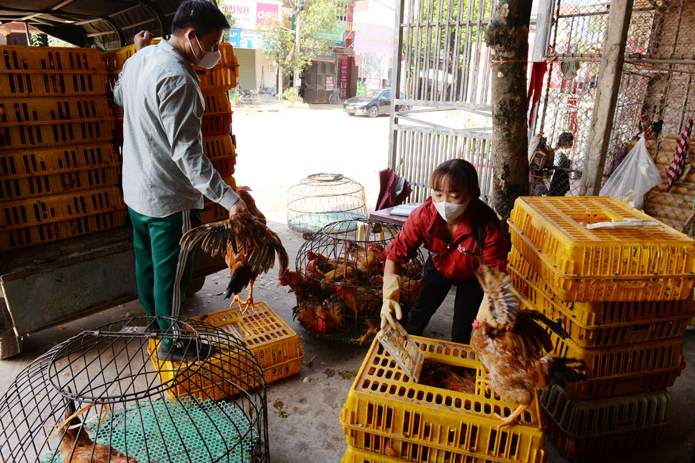 {keywords} {keywords}