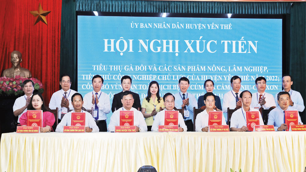 Yên Thế: Hoàn thành các nhiệm vụ, dự án lớn, tạo đà bứt phá