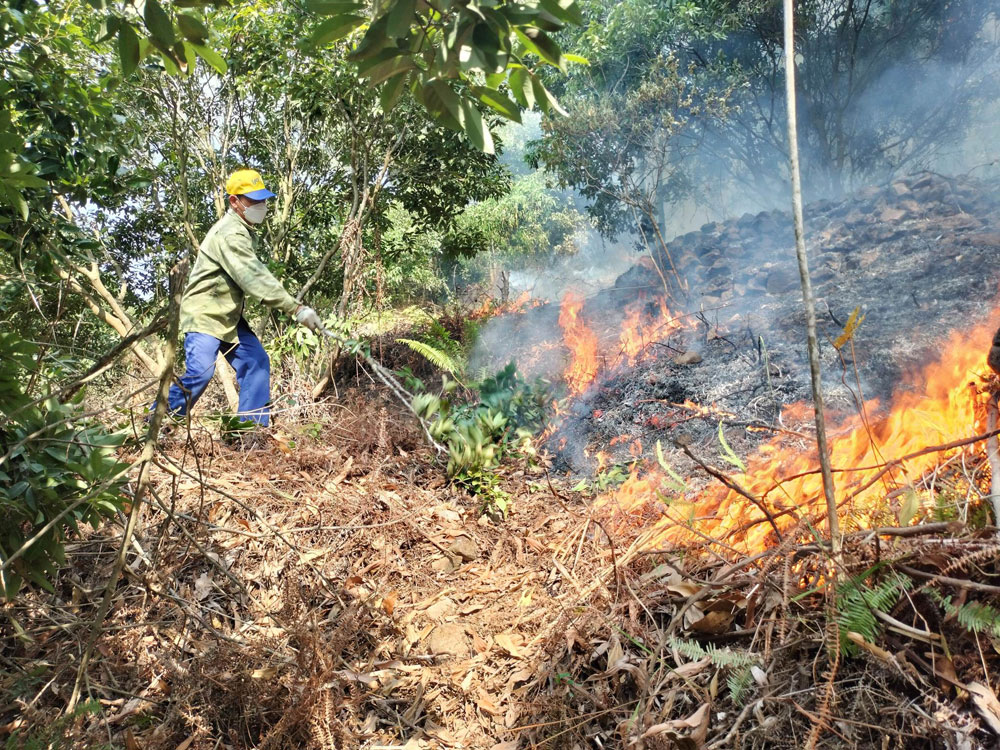 {keywords} {keywords}