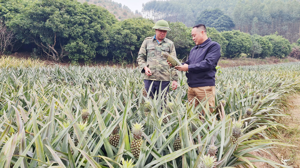 Bắc Giang: Tăng hiệu quả sản xuất nhờ hợp tác xã