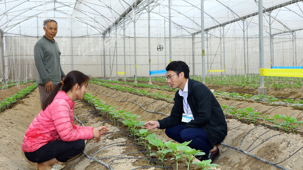 Huyện Lạng Giang quan tâm xây dựng đội ngũ cán bộ trẻ