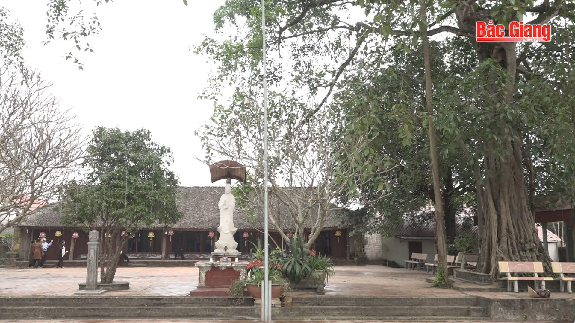 Giá trị lịch sử, văn hóa đặc sắc chùa cổ Phúc Quang