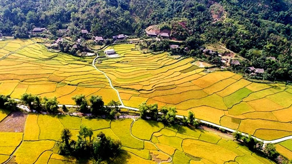 {keywords} {keywords}