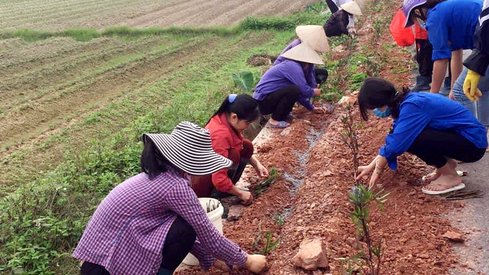 Sức bật cho nông thôn mới Cảnh Thụy